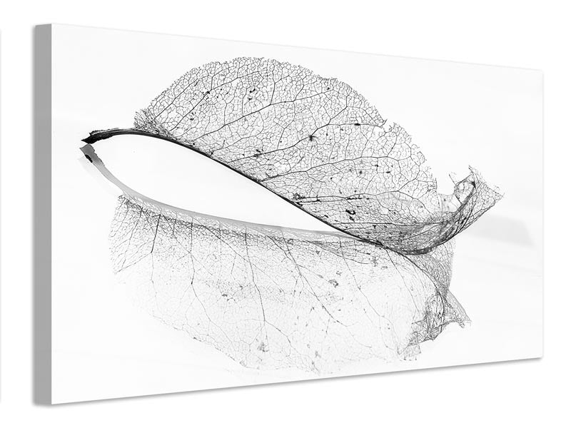 canvas-print-the-old-leaf-x