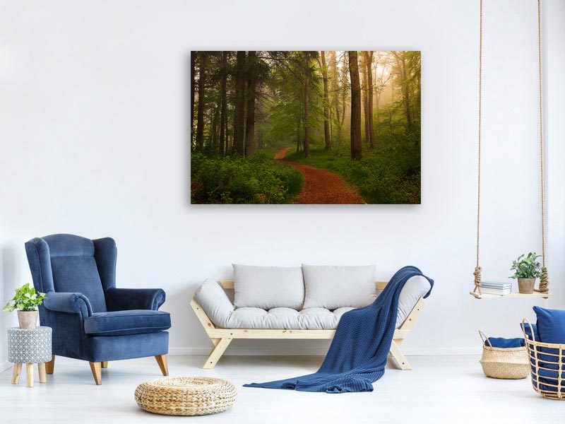 canvas-print-the-red-path-x