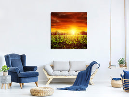 canvas-print-the-vineyard-at-sunset