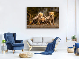 canvas-print-three-little-cheetahs-x