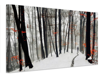 canvas-print-through-autumn-and-winter-x