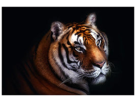 canvas-print-tiger-x