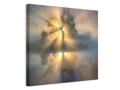 canvas-print-tree-of-light-x