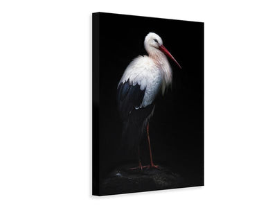 canvas-print-white-stork-portrait-x