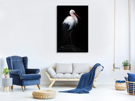 canvas-print-white-stork-portrait-x