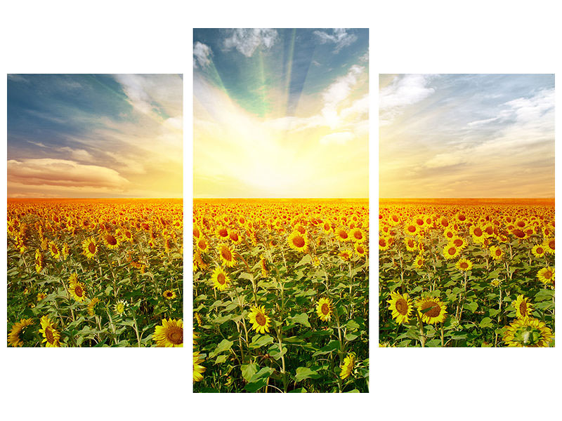 modern-3-piece-canvas-print-a-field-full-of-sunflowers