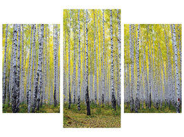 modern-3-piece-canvas-print-autumnal-birch-forest