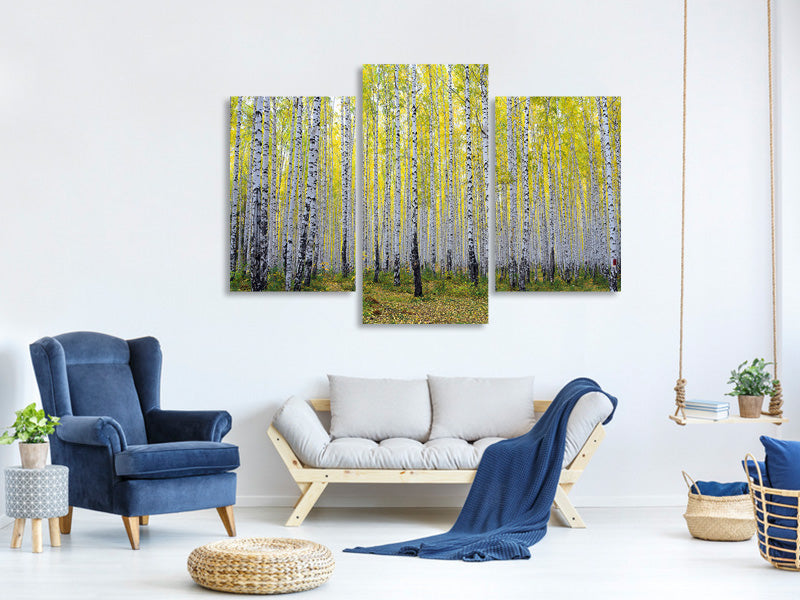 modern-3-piece-canvas-print-autumnal-birch-forest