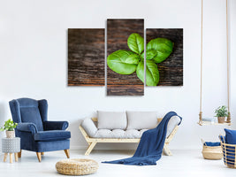 modern-3-piece-canvas-print-basil-leaf-in-xxl