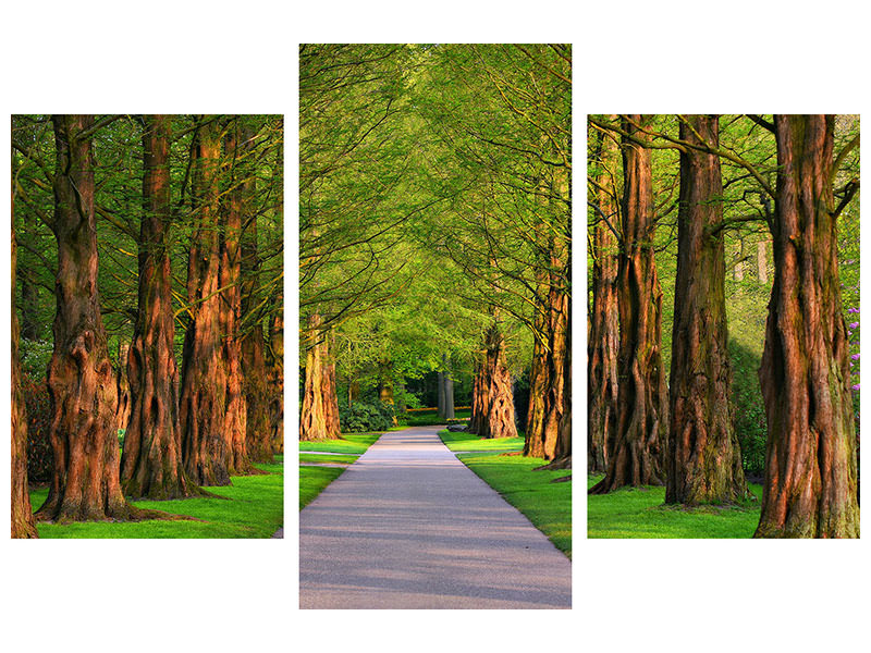 modern-3-piece-canvas-print-beautiful-avenue-in-nature