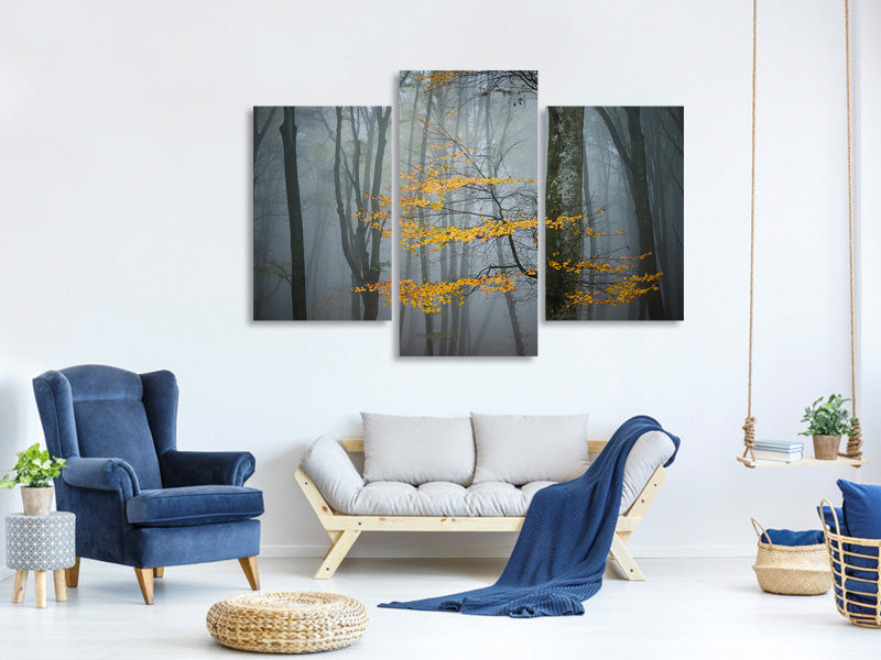 modern-3-piece-canvas-print-beech-forest-in-autumn