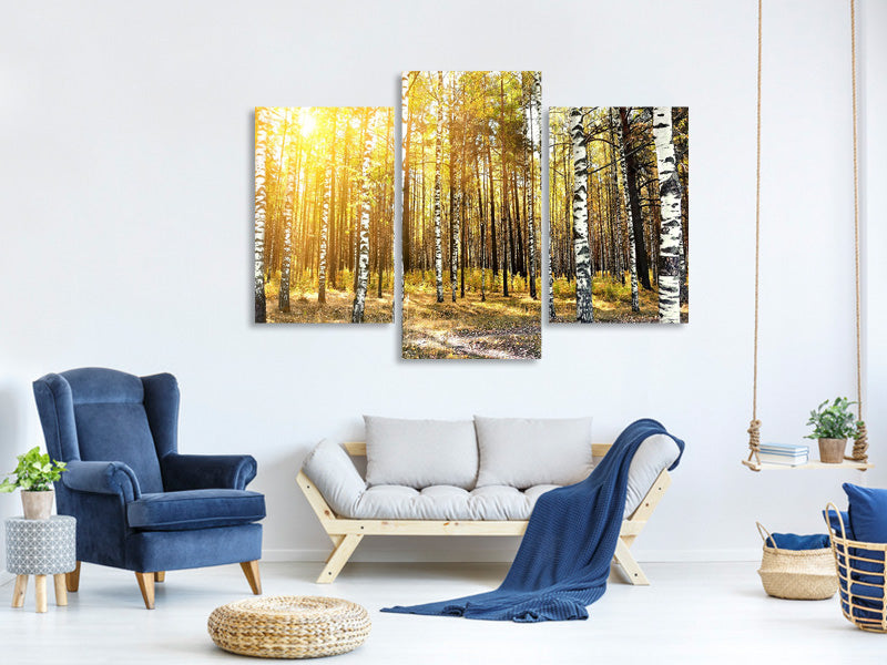 modern-3-piece-canvas-print-birch-forest