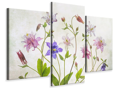 modern-3-piece-canvas-print-columbine