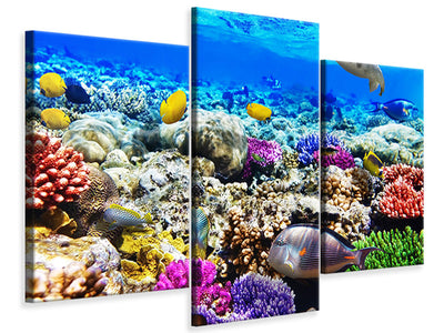modern-3-piece-canvas-print-fish-aquarium