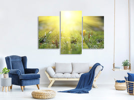 modern-3-piece-canvas-print-flowery-meadow