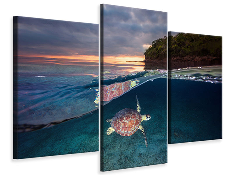 modern-3-piece-canvas-print-green-turtle-with-sunset