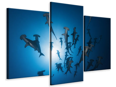 modern-3-piece-canvas-print-hammerhead-shark-underwater-photography