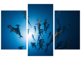 modern-3-piece-canvas-print-hammerhead-shark-underwater-photography