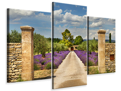 modern-3-piece-canvas-print-lavender-garden
