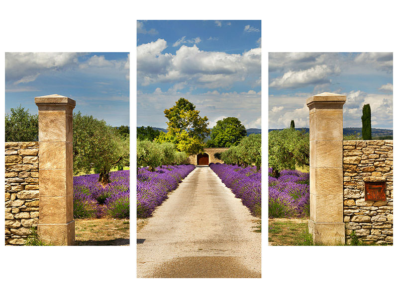 modern-3-piece-canvas-print-lavender-garden
