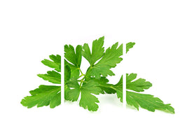 modern-3-piece-canvas-print-leaves-of-parsley