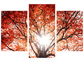 modern-3-piece-canvas-print-light-of-autumn