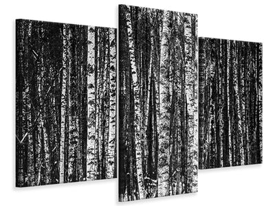 modern-3-piece-canvas-print-many-birches-xl