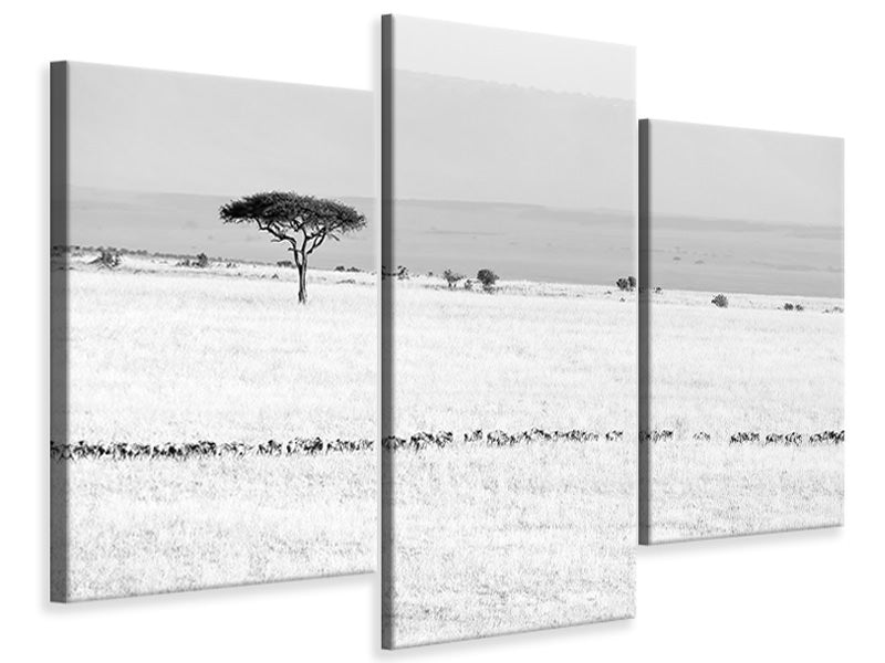 modern-3-piece-canvas-print-marching