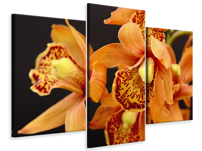 modern-3-piece-canvas-print-orchids-with-orange-flowers