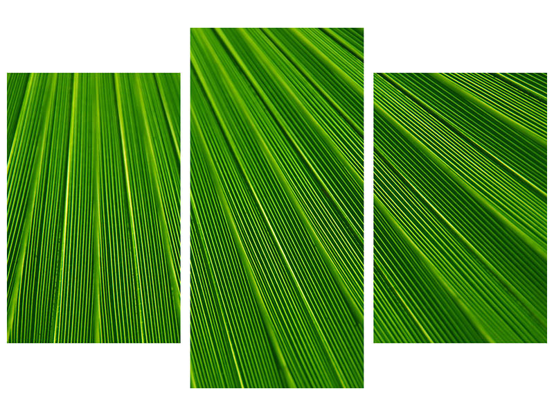 modern-3-piece-canvas-print-palm-stripe-i