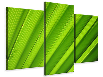 modern-3-piece-canvas-print-palm-stripes-ii