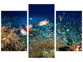 modern-3-piece-canvas-print-reef-lifeii