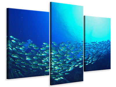 modern-3-piece-canvas-print-shoal-of-fish