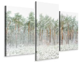 modern-3-piece-canvas-print-snow-world