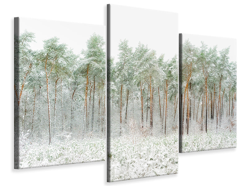 modern-3-piece-canvas-print-snow-world