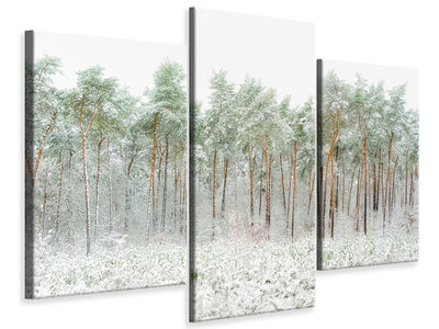 modern-3-piece-canvas-print-snow-world