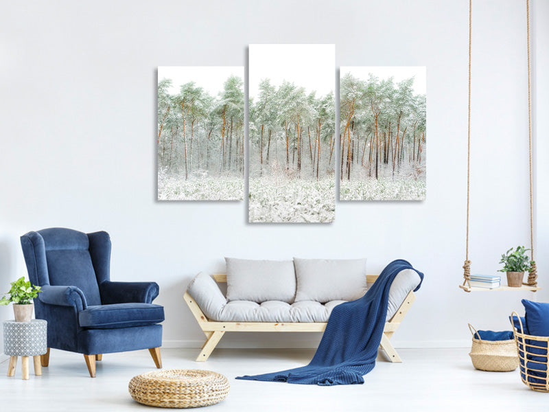 modern-3-piece-canvas-print-snow-world