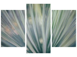 modern-3-piece-canvas-print-strip-of-plant