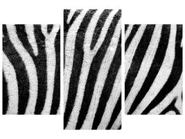 modern-3-piece-canvas-print-strip-of-the-zebra