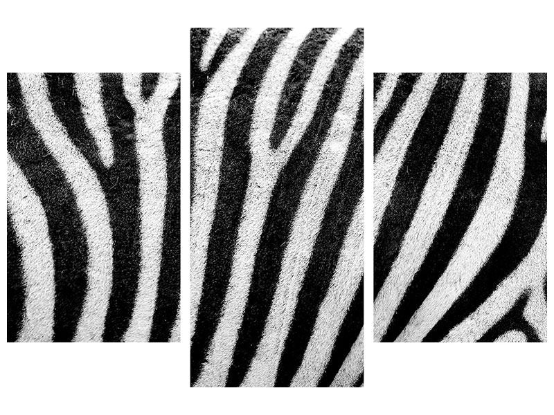 modern-3-piece-canvas-print-strip-of-the-zebra
