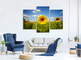 modern-3-piece-canvas-print-summer-sunflowers