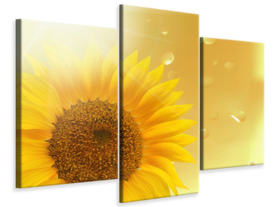 modern-3-piece-canvas-print-sunflower-in-morning-dew