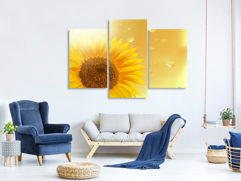modern-3-piece-canvas-print-sunflower-in-morning-dew