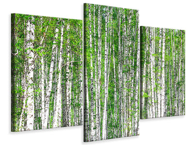 modern-3-piece-canvas-print-the-birch-forest