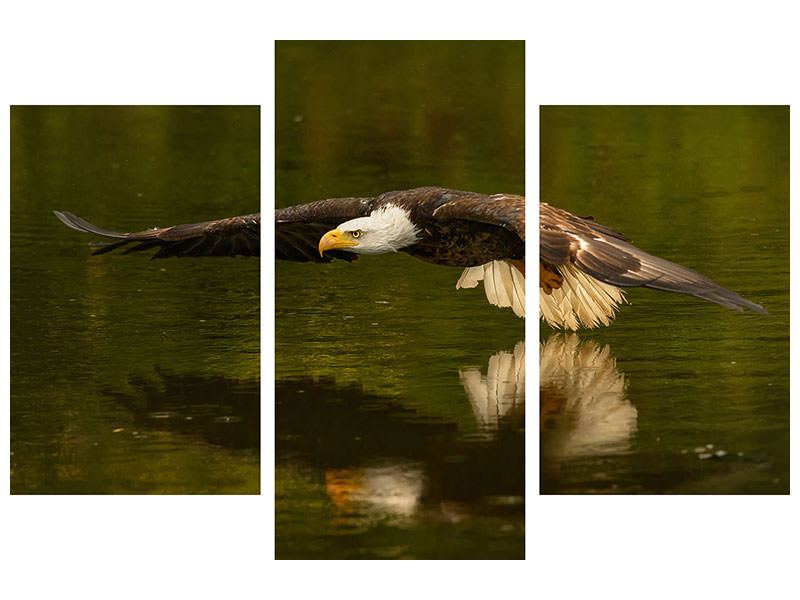 modern-3-piece-canvas-print-the-reflective-pond