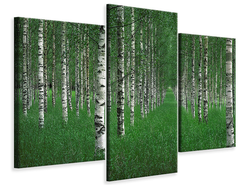 modern-3-piece-canvas-print-the-tunnel