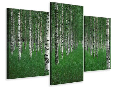 modern-3-piece-canvas-print-the-tunnel