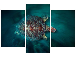 modern-3-piece-canvas-print-valocity-turtle