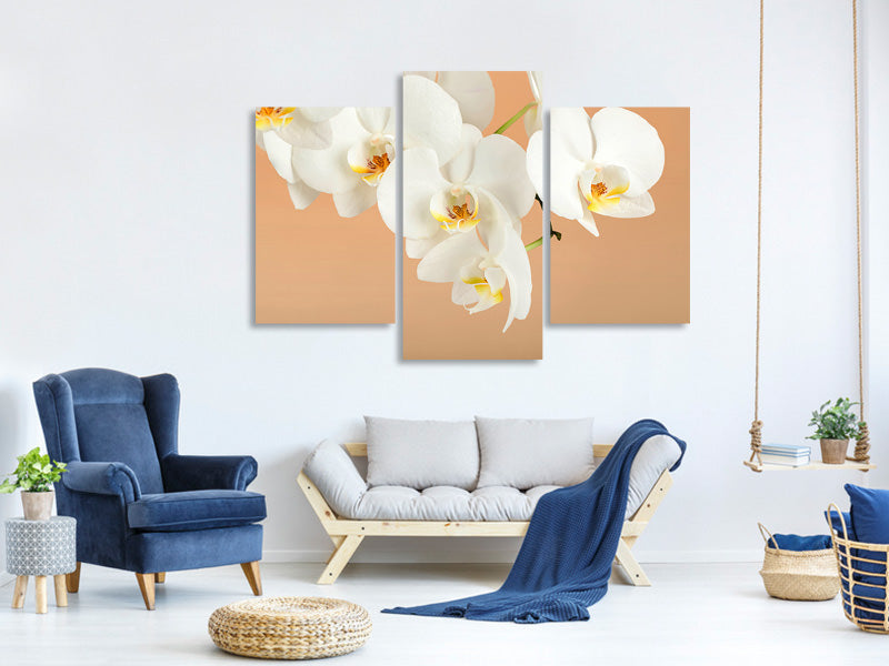 modern-3-piece-canvas-print-white-orchid-flowers