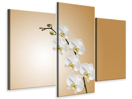 modern-3-piece-canvas-print-white-orchids-xl